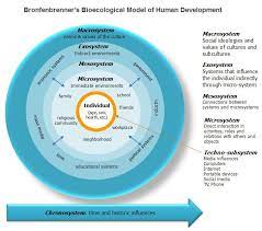 6 shaping influences human development drewlichtenberger social work theories human development ecological systems theory