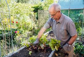 The man walked slowly downstairs and out into the garden. Ecoscape With Melanie Sharing Beginner Friendly Ideas To Help People Get Started Gardening Or Growing Indoor Plants