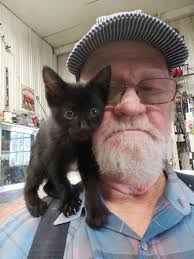 Introduction of a black cat and its growth