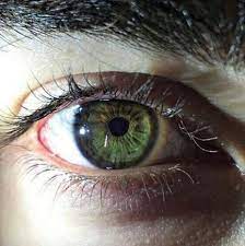 It's more of a gene combination. What Is Your True Eye Color Aesthetic Eyes Pretty Eyes Beautiful Eyes