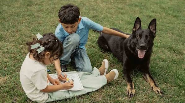 Shock and Awe: Unveiling the Power of CPI Protection Dogs | Canine  Protection International