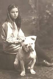 The average height was approximately several breeders are attempting to recreate this extinct breed with some success. Pin On Doggies