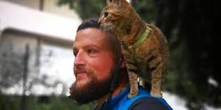 Dean Nicholson Is Cycling Around the World With His Kitten