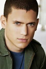 Pin On Wentworth Miller