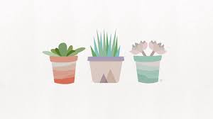 Talvez porque seja fácil de combinar e. Succulent Wallpapers Wallpaper Cave