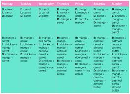 introduction to solids chart la cooquette