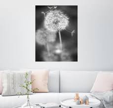 27,95 € 27,95 € 10% sparen bei 3 artikeln. Posterlounge Wandbild Pusteblume Schwarz Weiss Otto