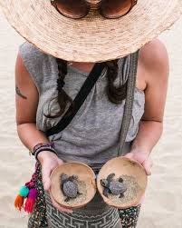 Pin On Puerto Escondido