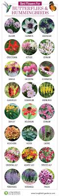 Best Flowers For Butterflies And Hummingbirds Flower Gardening Flowers For Butterflies Hummingbird Garden Planting Flowers