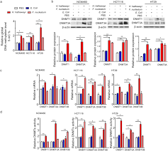 Sila pastikan nombor mykad dan nombor telefon bimbit adalah betul dan tepat. Bacteria Pathogens Drive Host Colonic Epithelial Cell Promoter Hypermethylation Of Tumor Suppressor Genes In Colorectal Cancer Springerlink