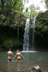 Swim with great white sharks in south africa. Top 12 Best Waterfalls On Maui You Should Visit Hawaii Travel With Kids
