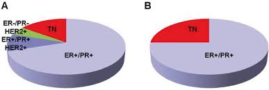 That is about 70 percent of all invasive breast cancers. Breast Cancer Stem Cells A Moving Target For Cancer Nanomedicine