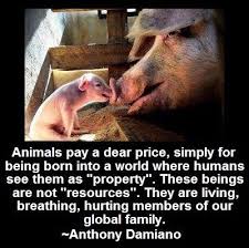 Pin By Malorie Queen On Wake Up World Exposing The Truth Vegan Quotes Animal Quotes Animal Abuse