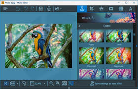 It takes a lot more to craft something like that, so you know your fake id maker is worth their salt if they can manage it. Wondershare Fotophire Toolkit Un Fabuloso Editor De Fotos Online