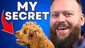 3 Dog Training Habits That Will Change Your Life