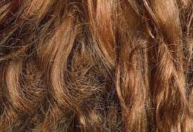 They have the ability to treat dry hair thanks to its. Top 12 Home Remedies For Frizzy Hair