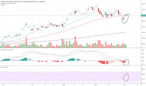 Ugld Stock Price And Chart Nasdaq Ugld Tradingview