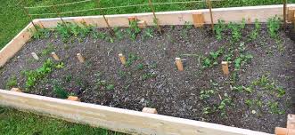 Check out our diy garden selection for the very best in unique or custom, handmade pieces from our garden decoration shops. How To Build And Care For A Raised Garden Bed
