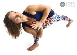 The 28 day yoga for beginners program has everything that beginners need. Standing Yoga Poses Yoga Basics Yoga Poses Meditation History Philosophy More