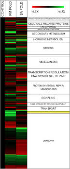 You need an unlock code in order to do this. Expression Of A Grapevine Nac Transcription Factor Gene Is Induced In Response To Powdery Mildew Colonization In Salicylic Acid Independent Manner Scientific Reports