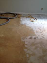 In my opinion, the method i used today is the method that really. Glue Removal From Concrete Floor Contractor Talk Professional Construction And Remodeling Forum