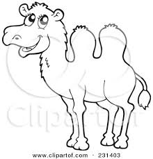 Vector engraved style illustration for posters. Clipart Saddled Camel Royalty Free Vector Illustration By Visekart 1090369