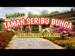 Canopy walk spf ayer keroh. Taman Seribu Bunga Ayer Keroh Melaka Youtube