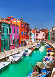 Abbey Nemeth (abbey3295)