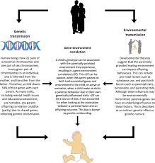 And definitely a cup (or pot) of seattle's best coffee®! Parental Characteristics And Offspring Mental Health And Related Outcomes A Systematic Review Of Genetically Informative Literature Translational Psychiatry