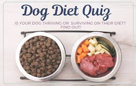But your vet may recommend prescription dog food or a homemade diet developed by a veterinary nutritionist. Testimonial Tulip S Diabetic Dog Diet Holistic Pet Wellness