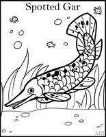 Maybe you would like to learn more about one of these? Coloring Pages By Magicbunnyart On Deviantart 2020 Coloring Pages Coloring Pages Color