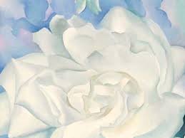 Maybe you would like to learn more about one of these? Georgia O Keeffe And Her Sumptuous Flowers Museum Of Fine Arts Boston