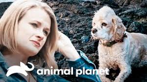 Chad, Cate e Frankie se despedem de sua companheira de aventuras