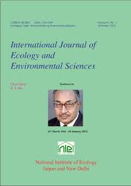 Image result for Cyperus trigonellus