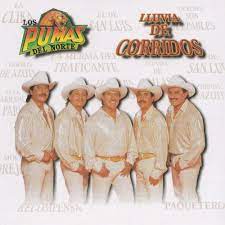 Los pumas del norte, category: Stream El De San Luis By Los Pumas Del Norte Listen Online For Free On Soundcloud