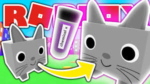The latest ones are on mar 16, 2021 7 new giant cat code pet simulator results have. Making Giant Cats Without Giant Cat Code In Roblox Pet Simulator Update 14 Giveaway Youtube