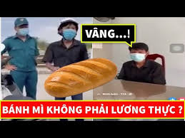Lúa mì hay lúa miến, tiểu mạch, tên khoa học: K9xud J Kxohpm