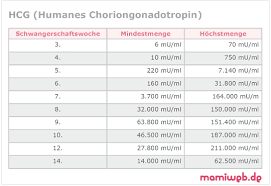 Humanes Chroiongonadotropin Hormon Hcg Mamiweb De
