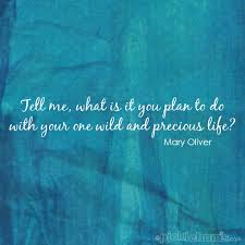 The joy of life comes from our encounters with new experiences, and hence there is no greater joy than to have an endlessly changing horizon, for each day to have a new and different sun.. What Will You Do With Your One Wild And Precious Life Picklebums