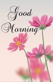 Pin On Morning Wishes