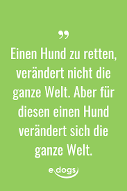 Hundeliebe Zitatbilder Hundefreund Traumhund Schone Spruche Hundespruche Dog Quotes Dog Life Ad In 2020 Dog Adoption Quotes Dog Quotes Dog Lover Quotes