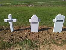 L'etat reconnaît avoir perdu neuf soldats. Pertes Humaines De La Premiere Guerre Mondiale Wikipedia