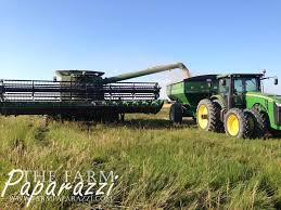 Quick look at how to harvest pinto beans, and a little information about growing green beans as well. Pinto Beans The Farm Paparazzi