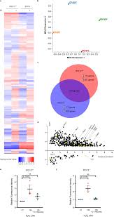 The secret science behind physical. Nuclear Transporter Importin 13 Plays A Key Role In The Oxidative Stress Transcriptional Response Nature Communications