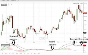 Midcaps Steer Clear These 45 Midcaps Are Showing Signs Of