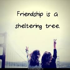 We did not find results for: Wallpaper Of Friend Posted By Samantha Simpson