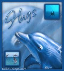 Hugs Images Dolphins Dolphin Art Hug Images