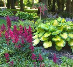 Shade Garden Love The Color Combos Love The Astilbes Must Have Addition For Next Spring Hosta Gardens Shade Garden Design Shade Garden