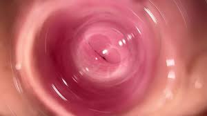 Camera Deep inside Mias small pussy | xHamster
