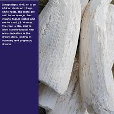 Image result for Synadenium kirkii